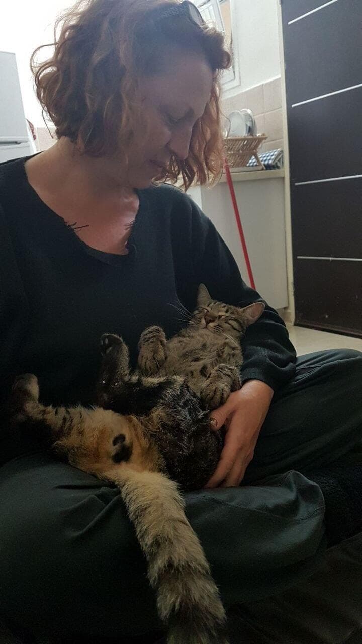 אמנדה גילבי וג'אנגו החתול