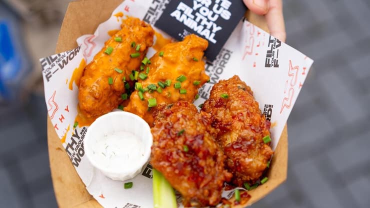 פסטיבל הכנפיים