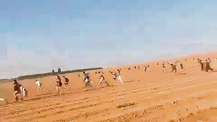 הבריחה מהנובה