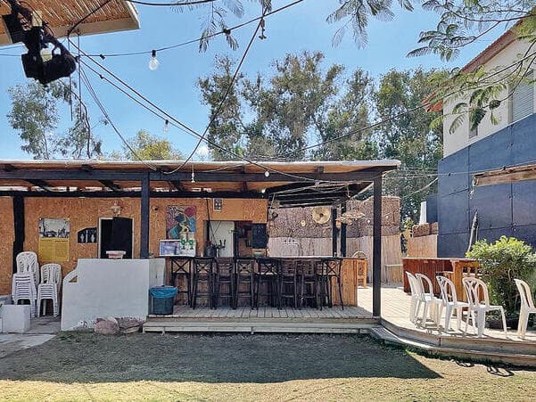 צילום: דוד קישקה yk14026029