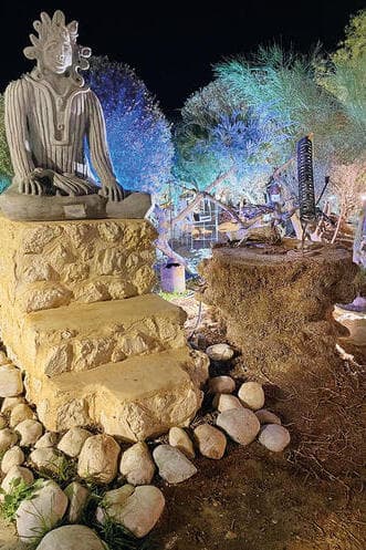 צילום: דוד קישקה yk14026030