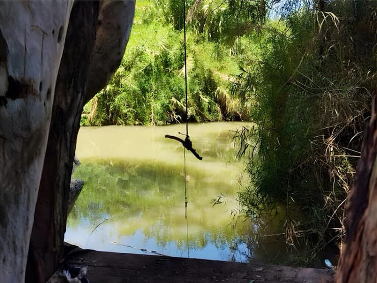 עין גלמן. העצים נותנים צל