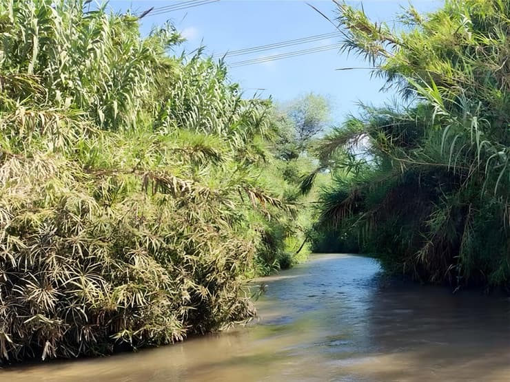 בריכת השכשוך בירקון. גם לקטנים