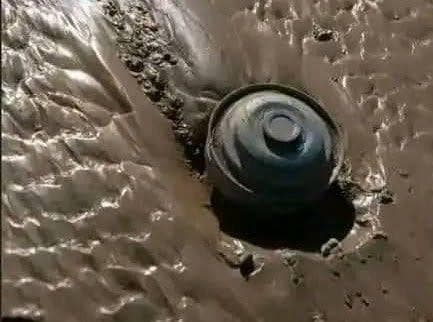 הצפות שיטפונות ב תימן מוקשים של החות'ים חות'ים נסחפו