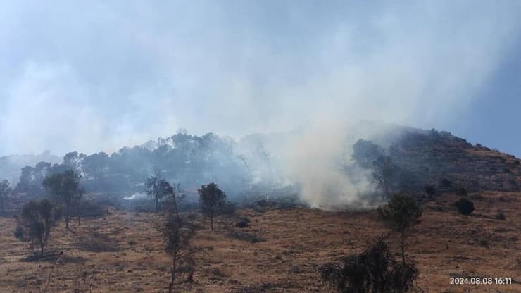 שריפות בצפון כתוצאה ממטחי ירי מלבנון בשבוע שעבר (צילום: אביהו שפירא ) שריפה בצומת כוח כתוצאה ממטחי ירי מלבנון