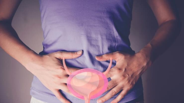 שלפוחית השתן