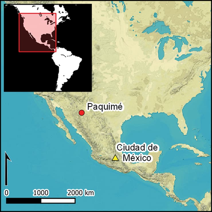 מיקום האתר פאקימה (איור: Antiquity) מיקום האתר פאקימה