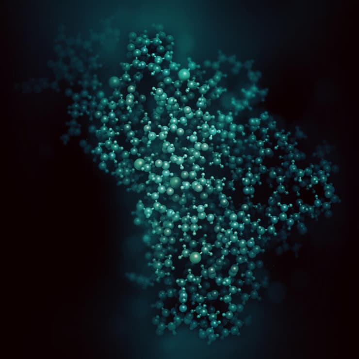 חלבונים פריונים 