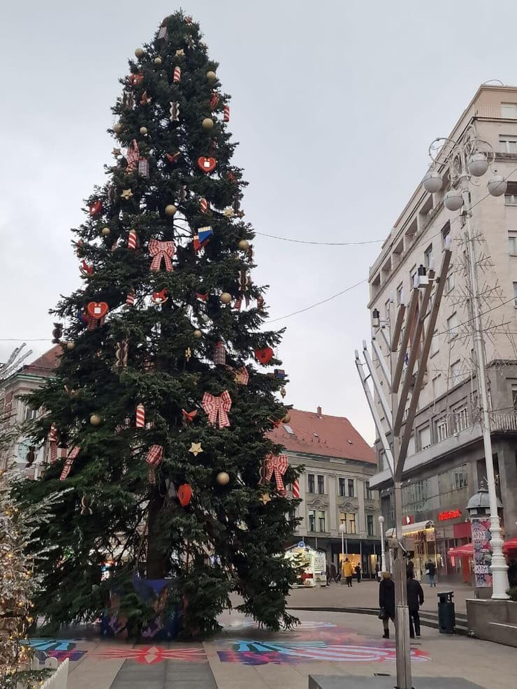 חנוכייה ועץ חג מולד