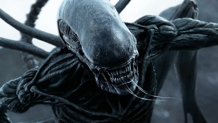 מתוך "הנוסע השמיני"