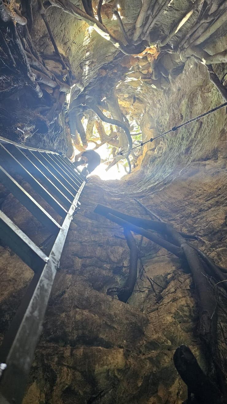 הבאר הסודית