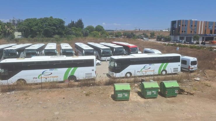 האוטובוסים