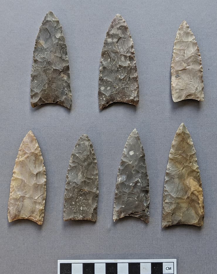 חודי קלוביס