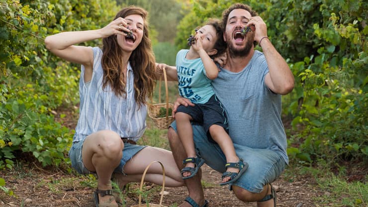 בוצרים ונהנים במשק אופיר