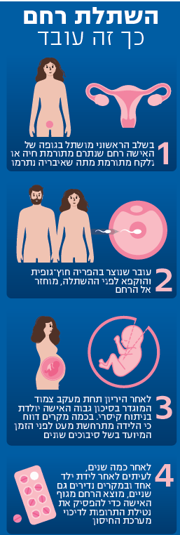 השתלת רחם