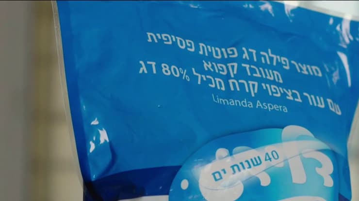 מתוך "כלבוטק"