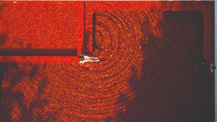 The Library© The Library©