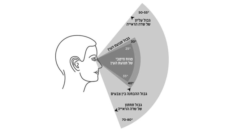 שדה הראייה שלנו הולך ומתרחב ככל שהעצם מרוחק יותר מהעין. גבולות שדה הראייה האנושי 