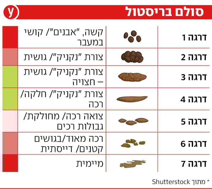אינפו סולם בריסטול אינפו סולם בריסטול