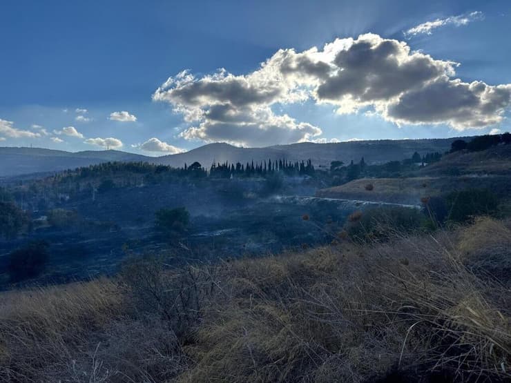  שריפה מנזקי רקטת חיזבאללה ליד אנדרטת האריה השואג בתל חי