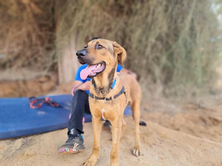 יוג'ין (צילום: עמותת חבר לי) יוג'ין