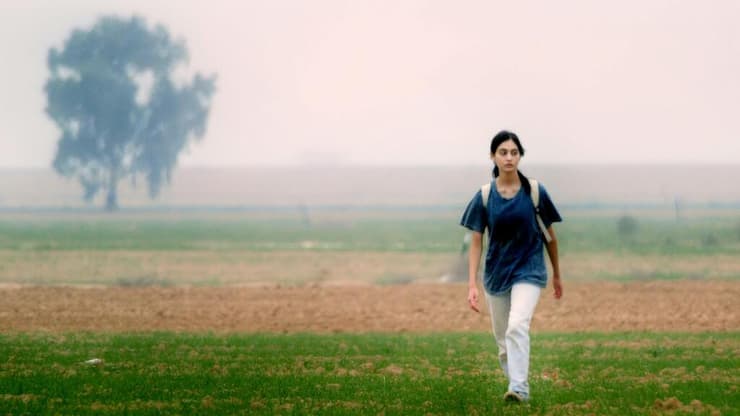 מתוך "על כלבים ואנשים"