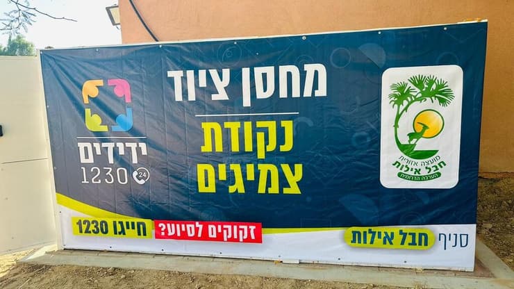 ידידים - הדס שפירא