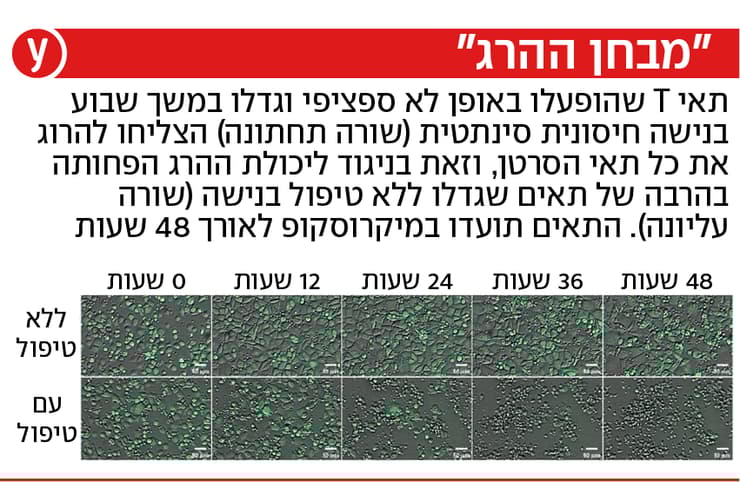 מבחן ההרג - מחקר אימונותרפיה, מכון ויצמן