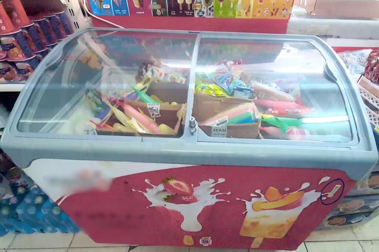 המקפיא שבו על פי משרד החקלאות הושמה החתולה. המקפיא היה אז ריק (צילום: משרד החקלאות) המקפיא שבו על פי משרד החקלאות הושמה החתולה. המקפיא היה אז ריק