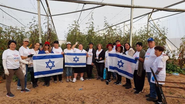 מתנדבי "באים לטוב" מסייעים לחקלאי העוטף בקטיף עגבניות