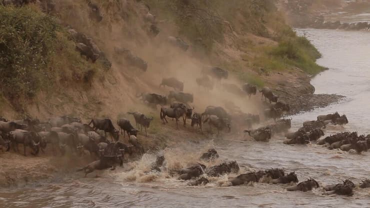 חיים בכדור הארץ