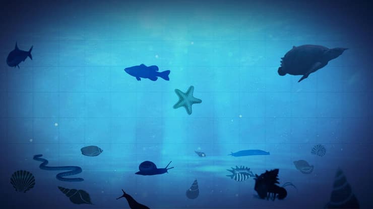 החיים הראשונים