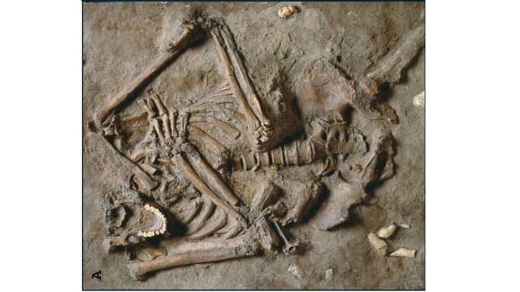 מנח הקבורה של ניאנדרטל ממערת כבארה. ניתן לראות את הידיים המונחות על בית החזה והבטן