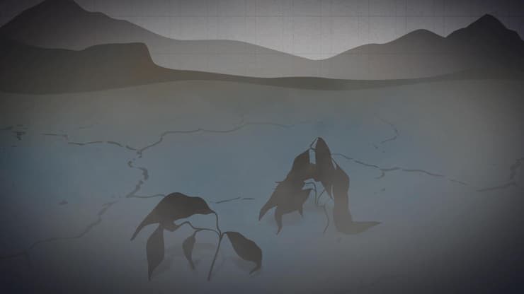 אחרי הכחדה המונית