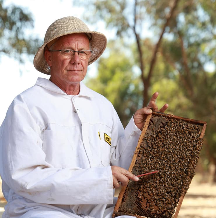 "פעם דבש היה העיקר, היום זו ההאבקה". ניצן למדני, כפר חיים (צילום: אביגיל עוזי) ניצן למדני, כפר חיים