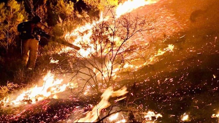 השריפה ביער ביריה בעקבות הירי