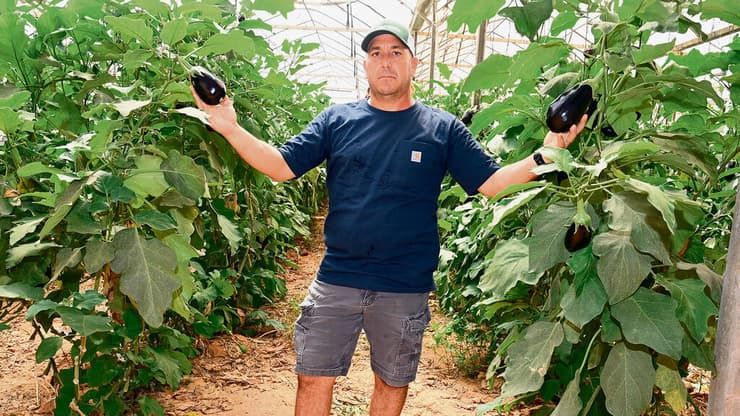 אחי סיטבון, דקל. מהרס ומחורבן נולדים פתרונות שמובילים את הדרך קדימה | צילום: הרצל יוסף yk14069781