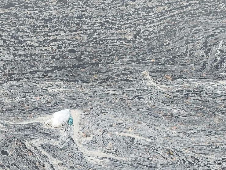 הפסולת מתעלות הניקוז הגיעה לים