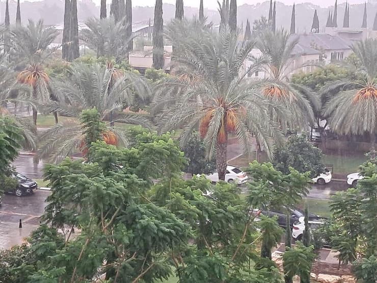 שמי קריית אונו הבוקר
