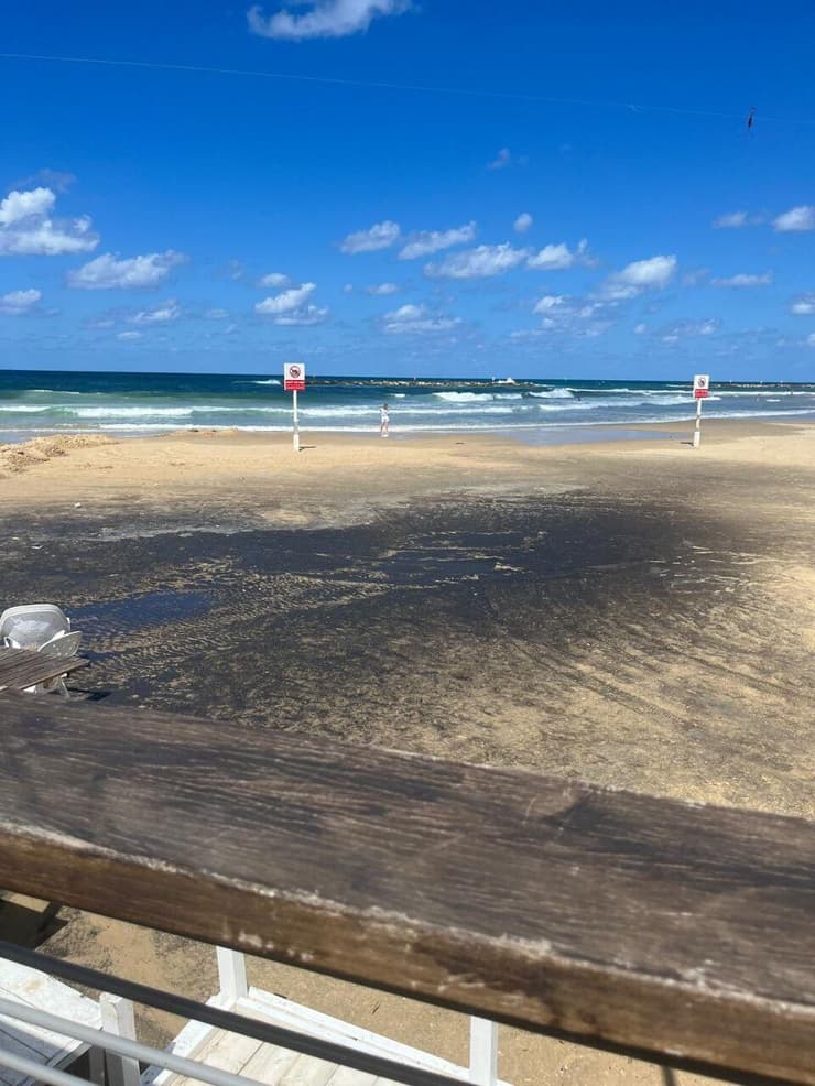 זיהום בחוף אביב בתל אביב