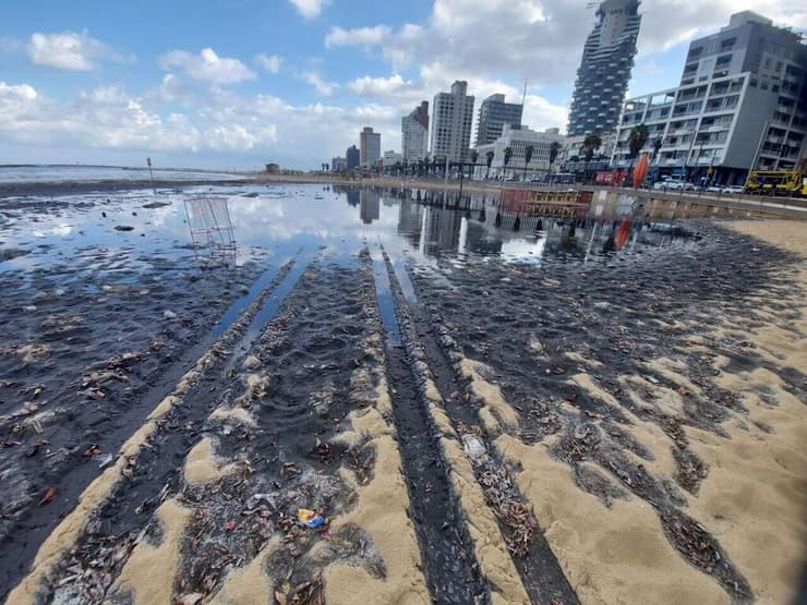 חוף פרישמן, הבוקר