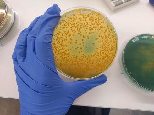 צילום: אוניברסיטת תל אביב