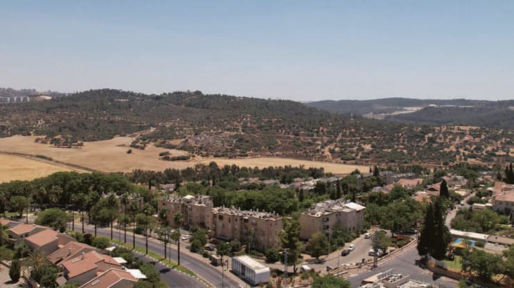 לפני (צילום: שרון ענבי) לפני