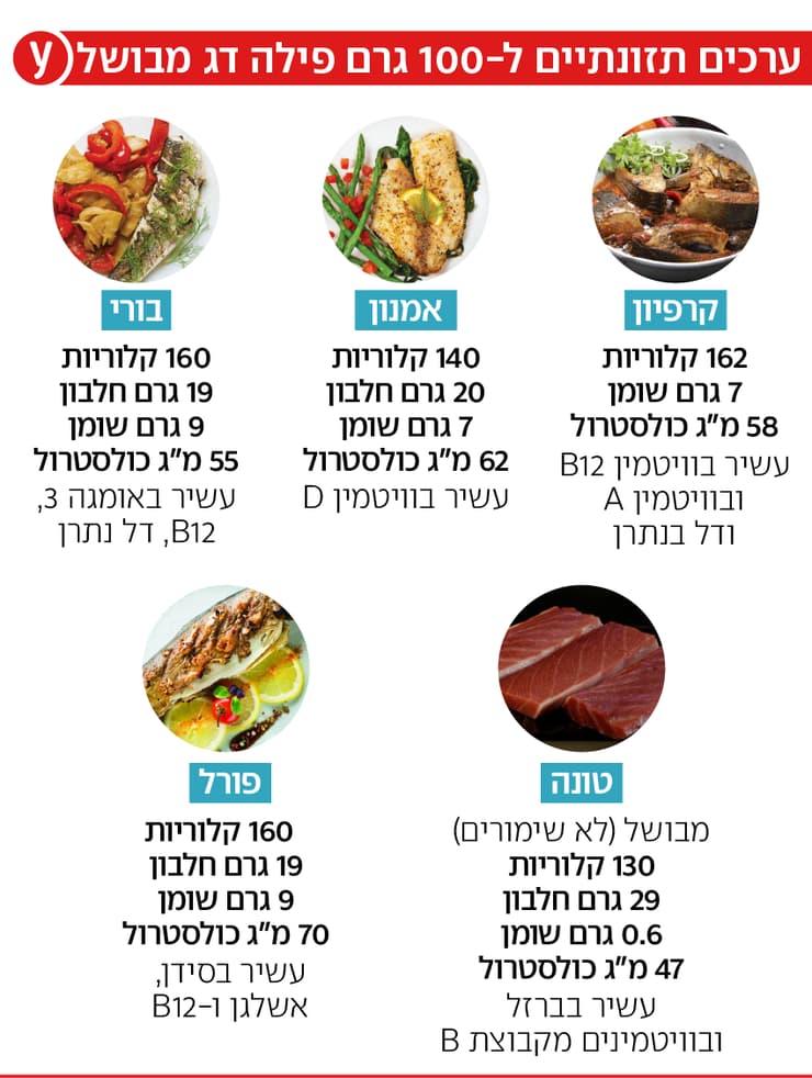 אינפו דגים