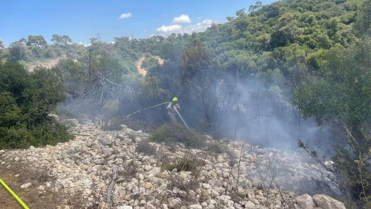 תושב חיפה נעצר בחשד להצתות מכוונות ביערות הכרמל