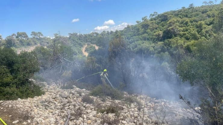 תושב חיפה נעצר בחשד להצתות מכוונות ביערות הכרמל