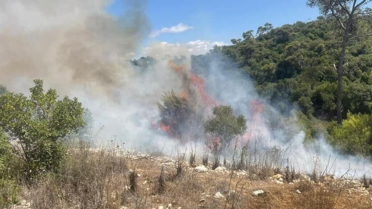 תושב חיפה נעצר בחשד להצתות מכוונות ביערות הכרמל