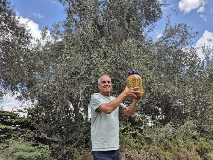 דורון צמח עם זיתים בבארי