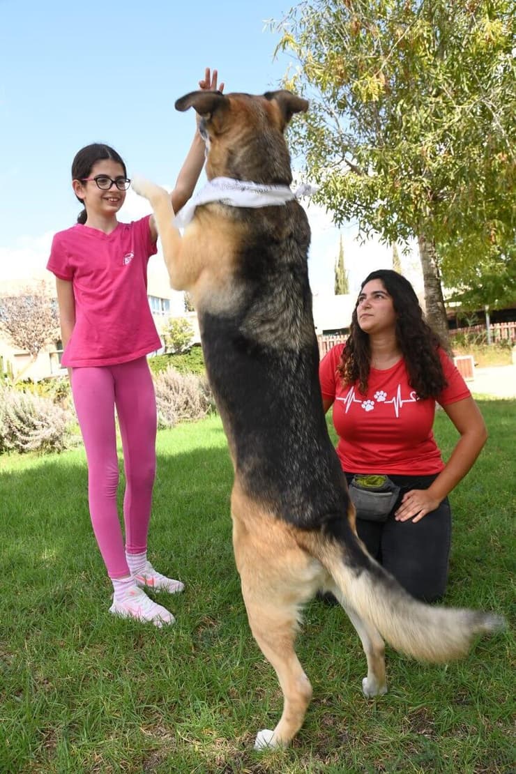 שירה גולדשטיין, עם תור והכלבנית צליל חניה