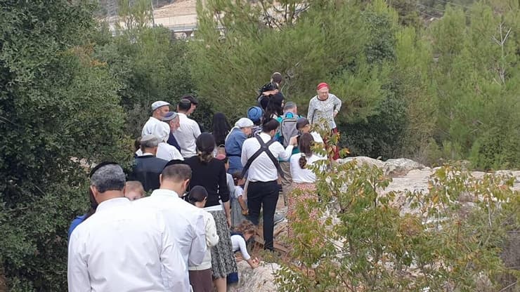 פסטיבל ירוק מבפנים ומבחוץ